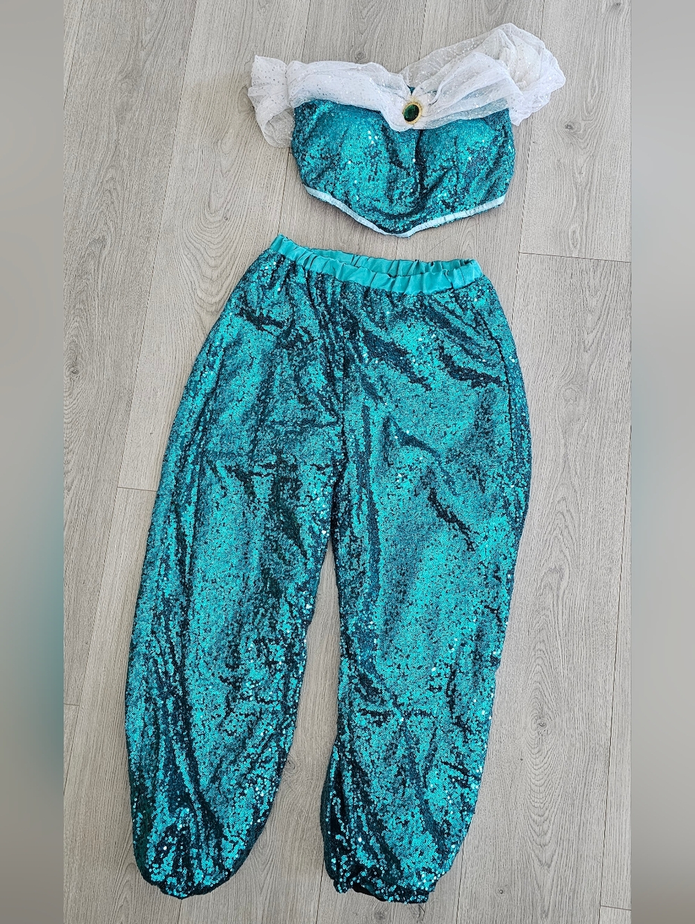 Princess Jasmine Costume